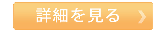 詳細を見る